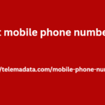 recent mobile phone number lead